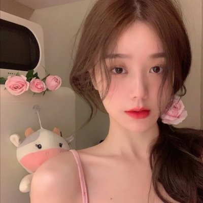 万花嬉春